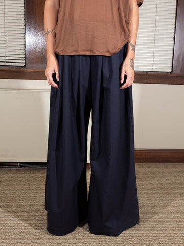 Baserange Avi Pant, Dama Navy